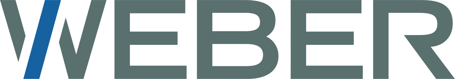 Weber REM Online Store